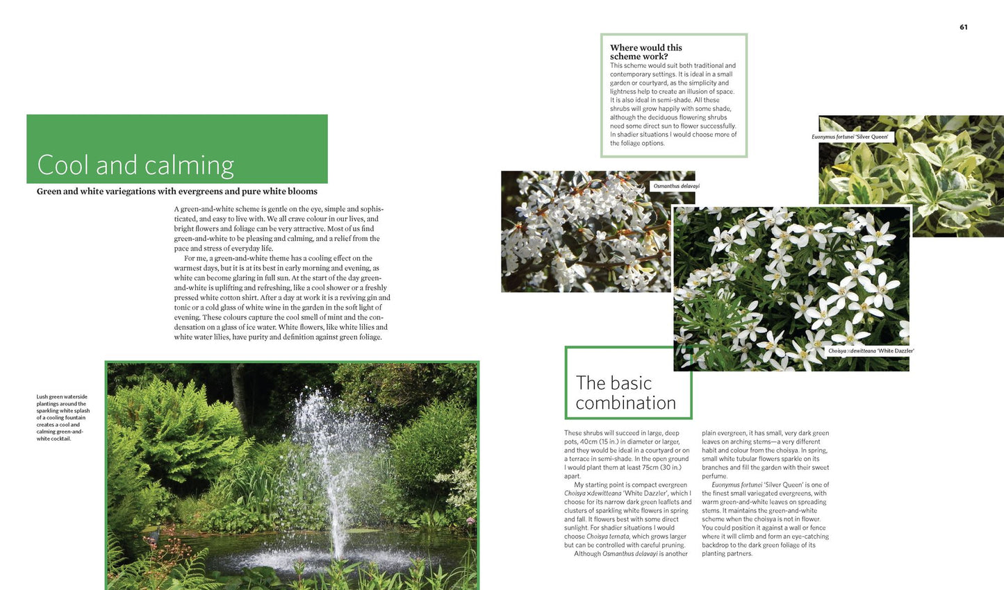 The Creative Shrub Garden: Eye-Catching Combinations for Year-Round Interest