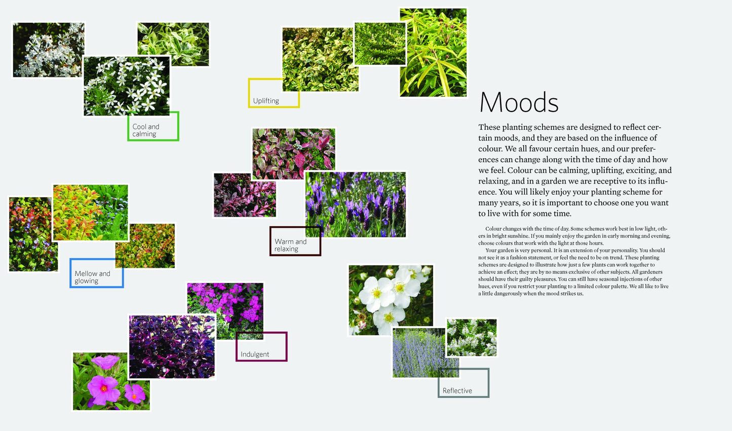 The Creative Shrub Garden: Eye-Catching Combinations for Year-Round Interest