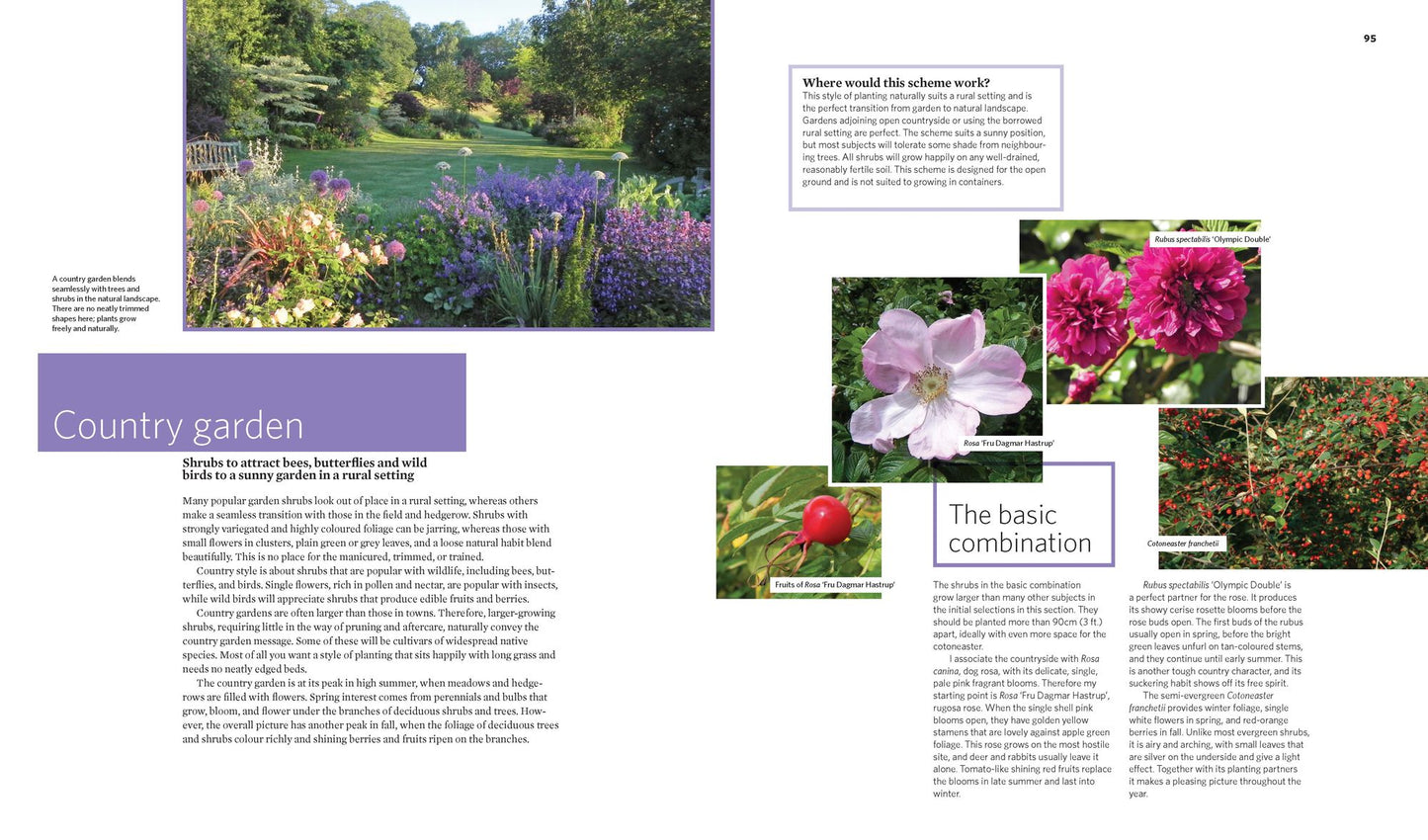 The Creative Shrub Garden: Eye-Catching Combinations for Year-Round Interest