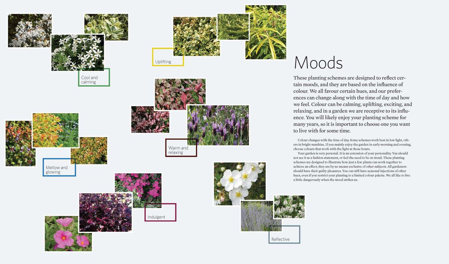 The Creative Shrub Garden: Eye-Catching Combinations for Year-Round Interest