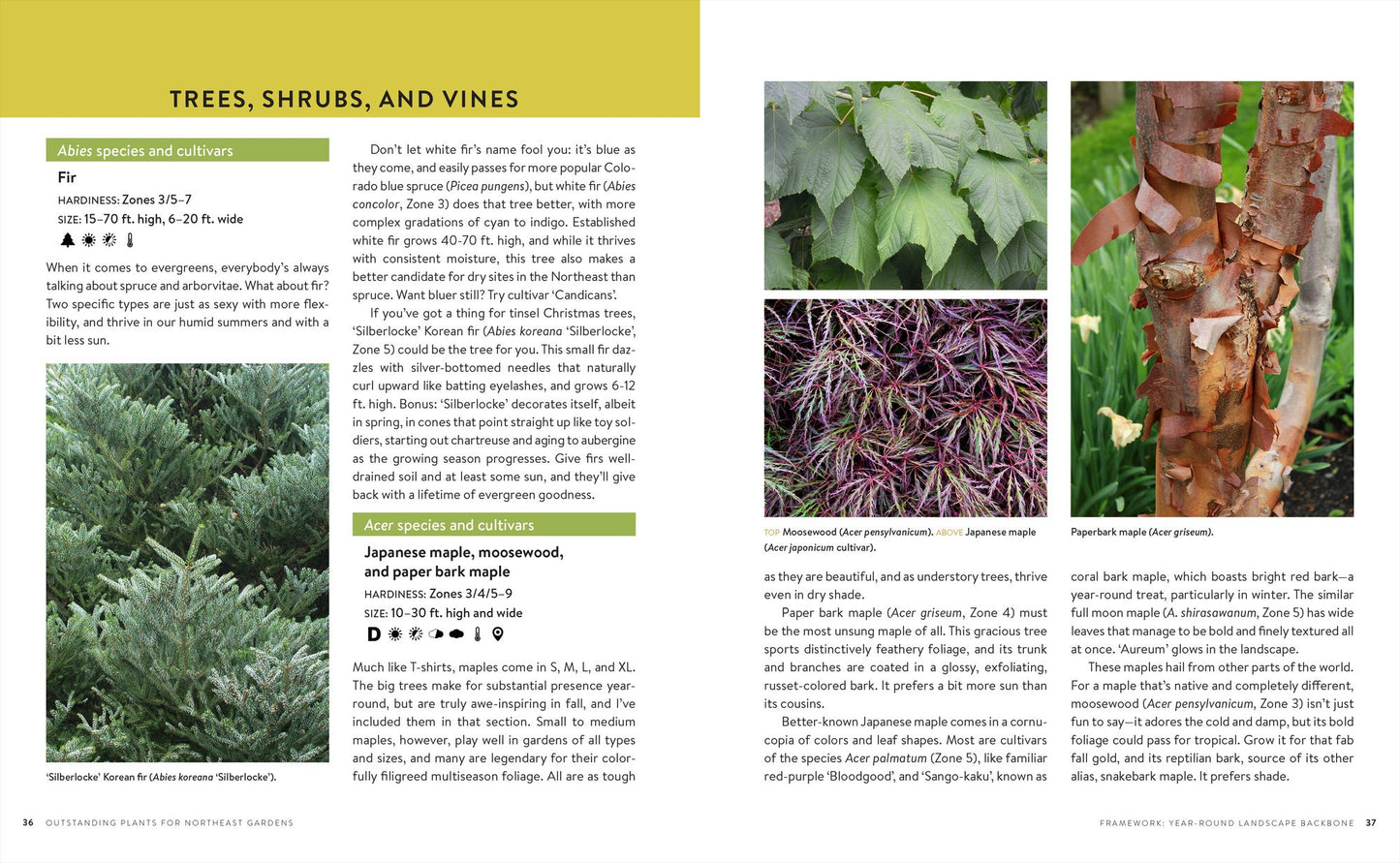 Growing the Northeast Garden: Regional Ornamental Gardening