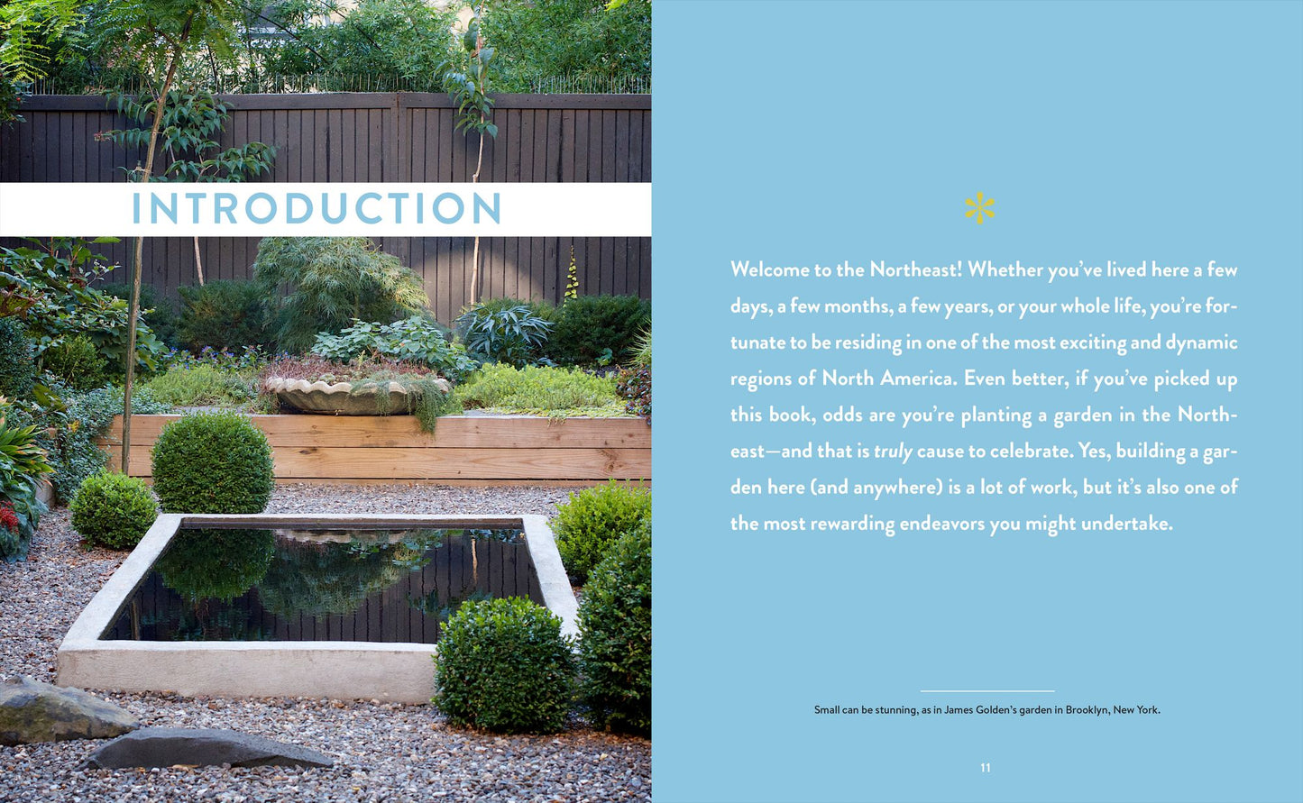 Growing the Northeast Garden: Regional Ornamental Gardening