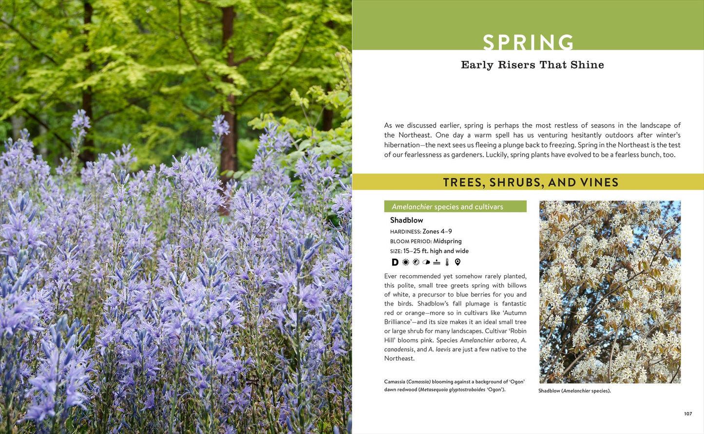Growing the Northeast Garden: Regional Ornamental Gardening