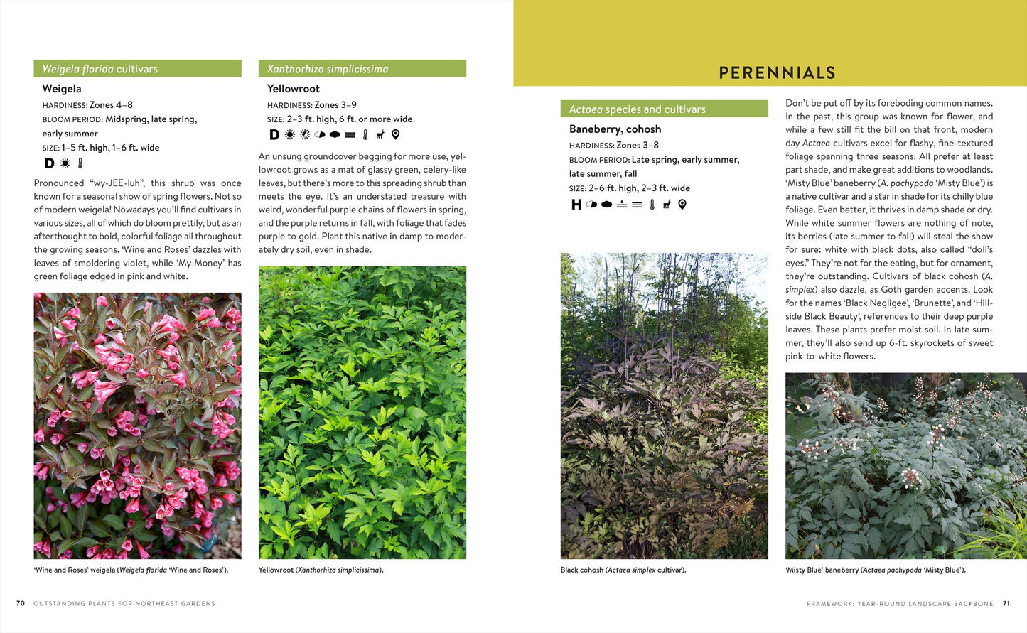 Growing the Northeast Garden: Regional Ornamental Gardening