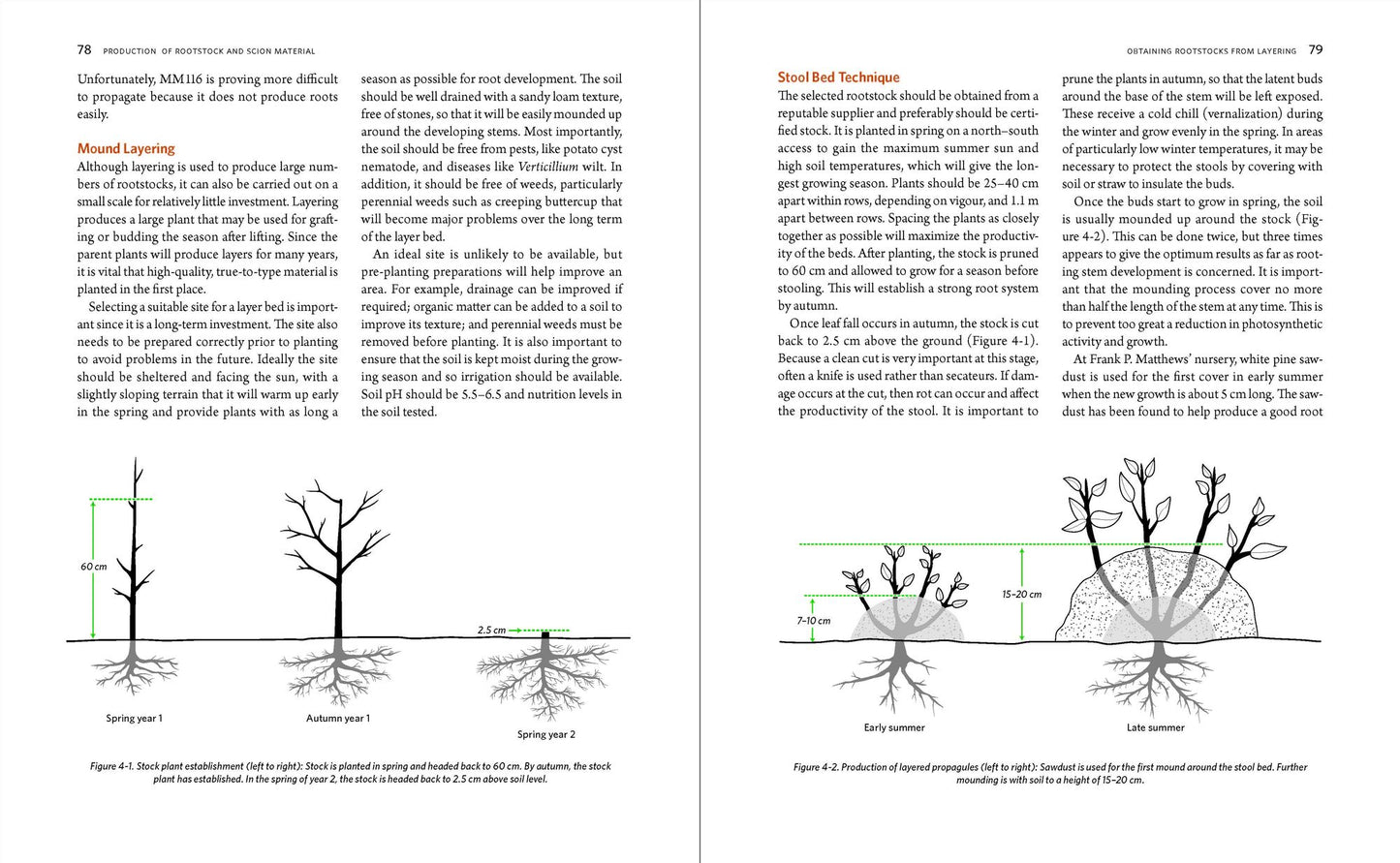 The Manual of Plant Grafting: Practical Techniques for Ornamentals, Vegetables, and Fruit