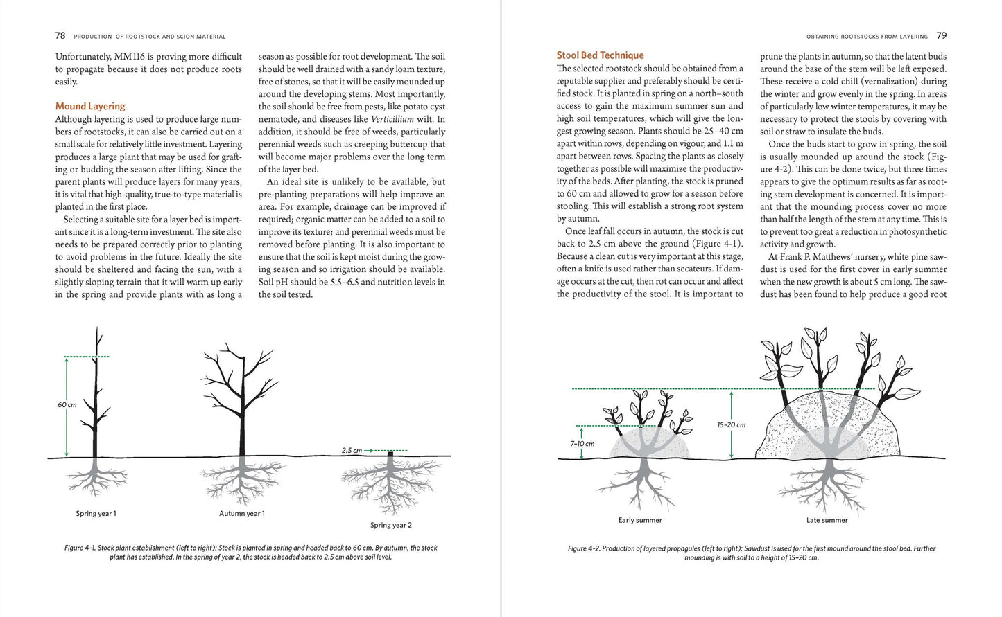 The Manual of Plant Grafting: Practical Techniques for Ornamentals, Vegetables, and Fruit