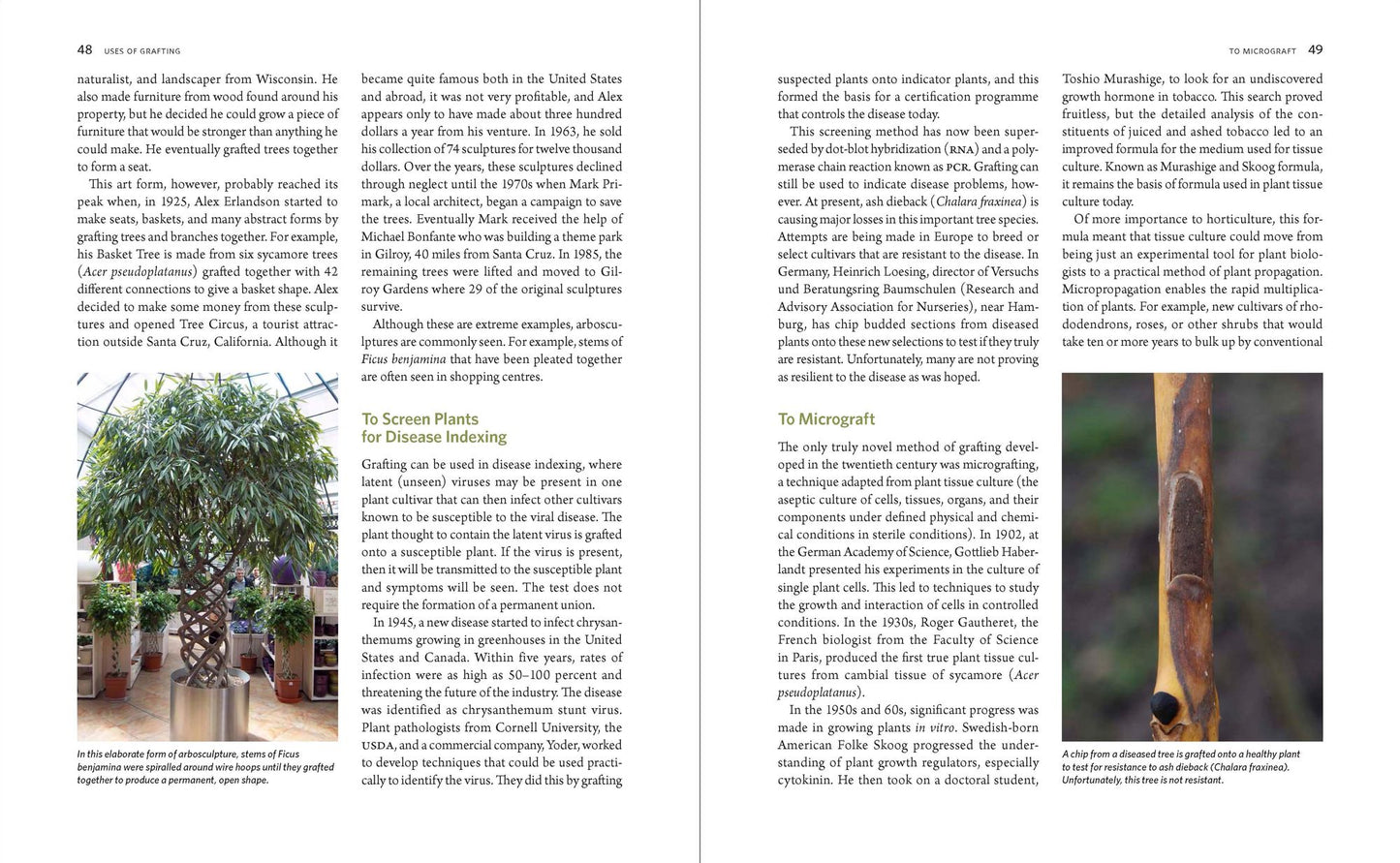 The Manual of Plant Grafting: Practical Techniques for Ornamentals, Vegetables, and Fruit