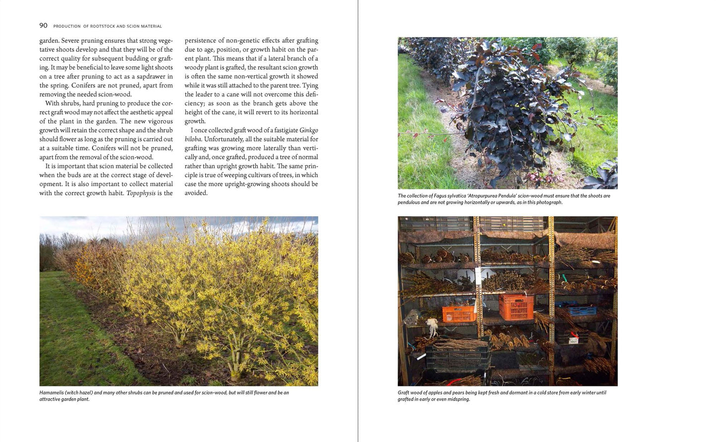 The Manual of Plant Grafting: Practical Techniques for Ornamentals, Vegetables, and Fruit