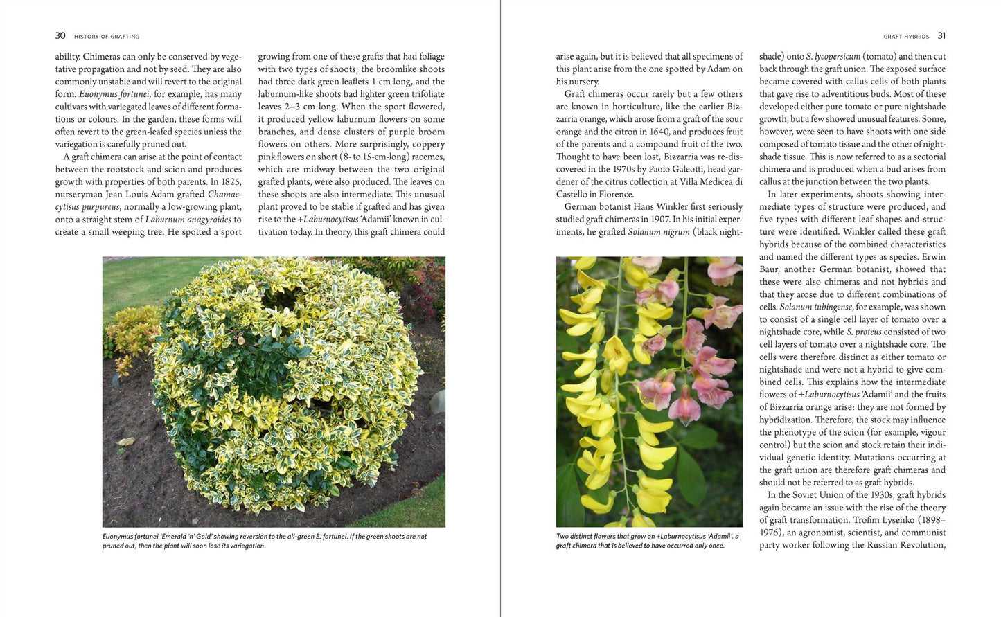 The Manual of Plant Grafting: Practical Techniques for Ornamentals, Vegetables, and Fruit