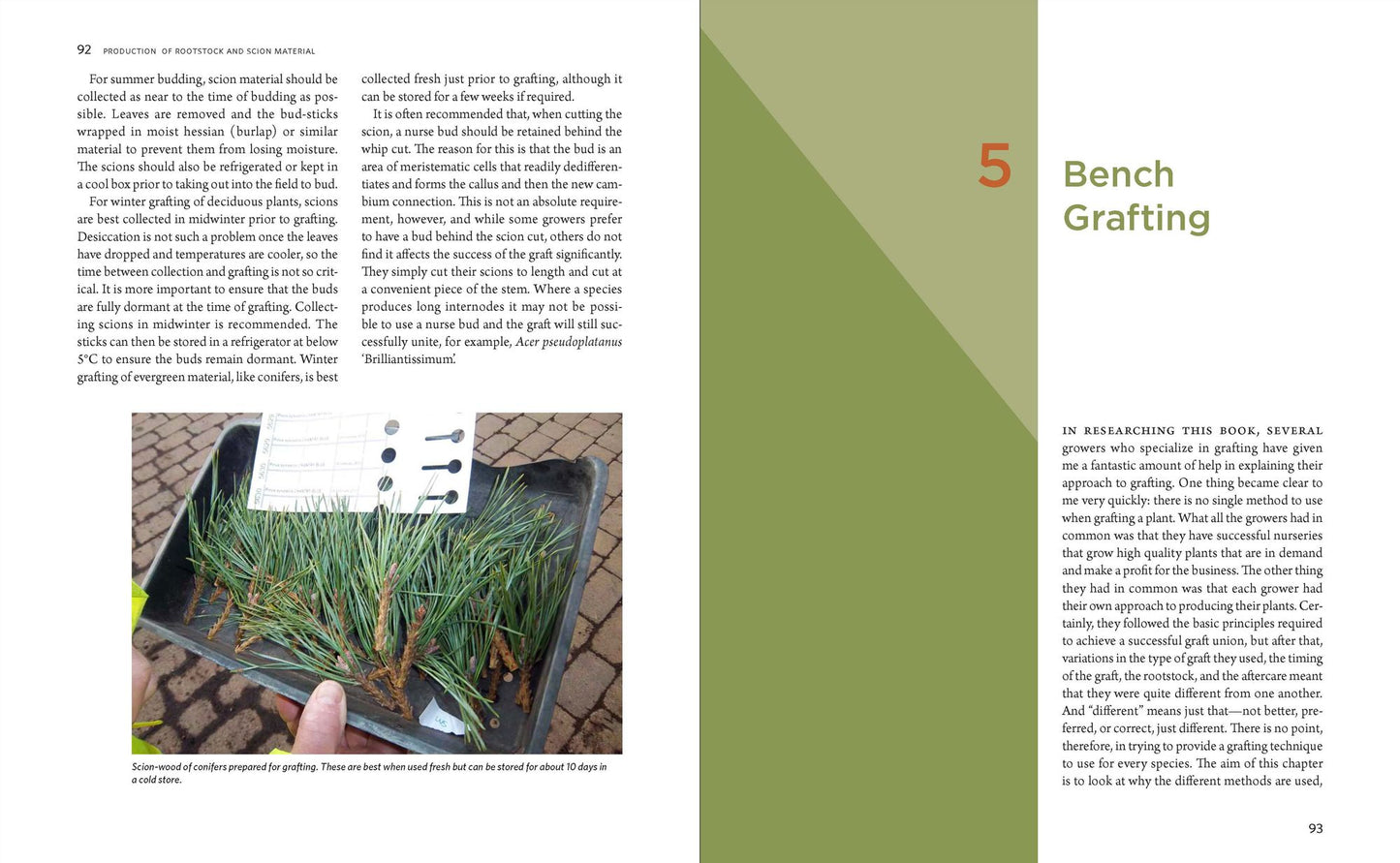 The Manual of Plant Grafting: Practical Techniques for Ornamentals, Vegetables, and Fruit