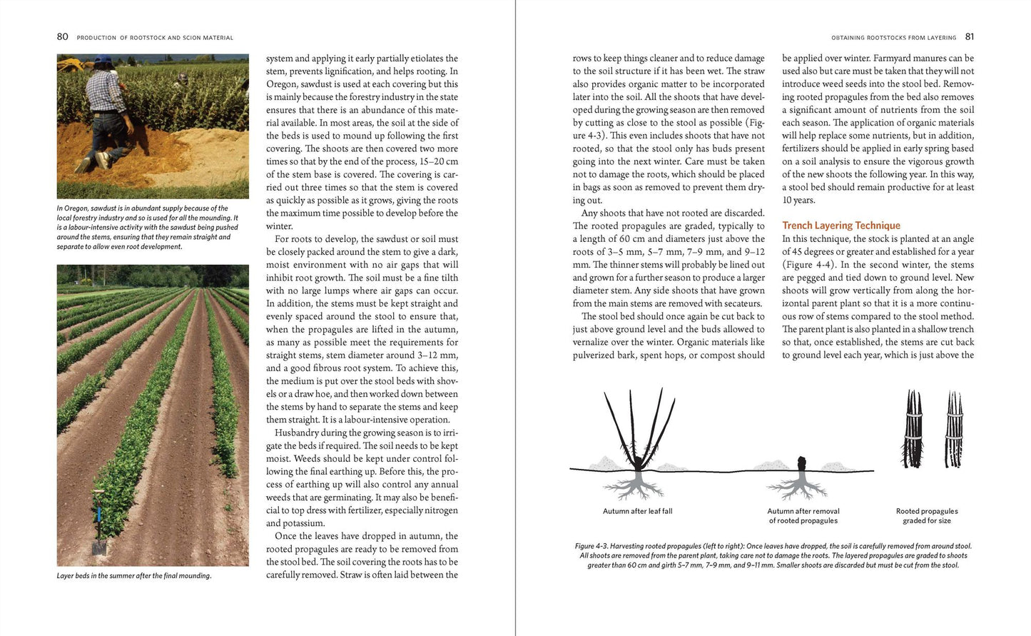 The Manual of Plant Grafting: Practical Techniques for Ornamentals, Vegetables, and Fruit