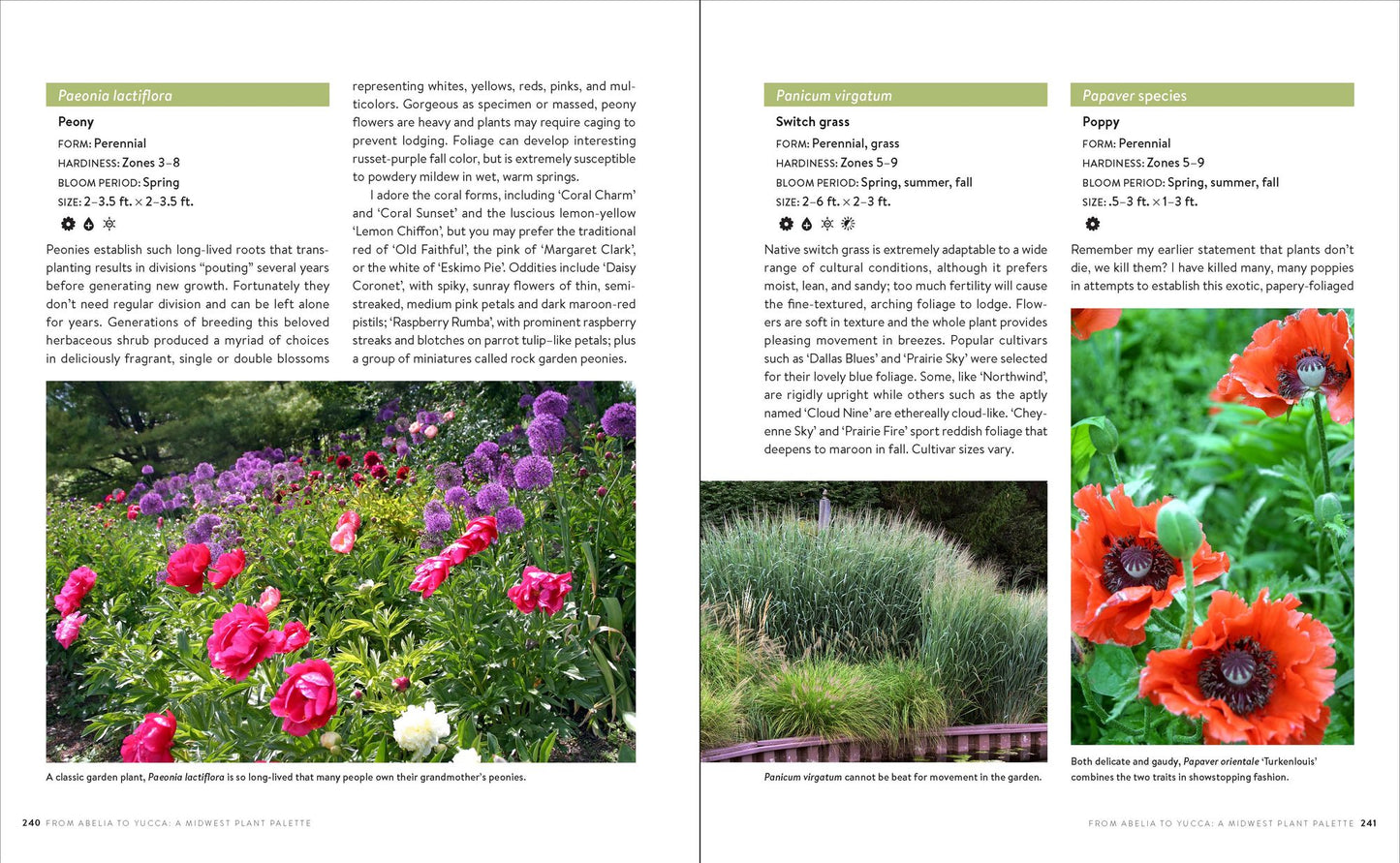 Growing the Midwest Garden: Regional Ornamental Gardening