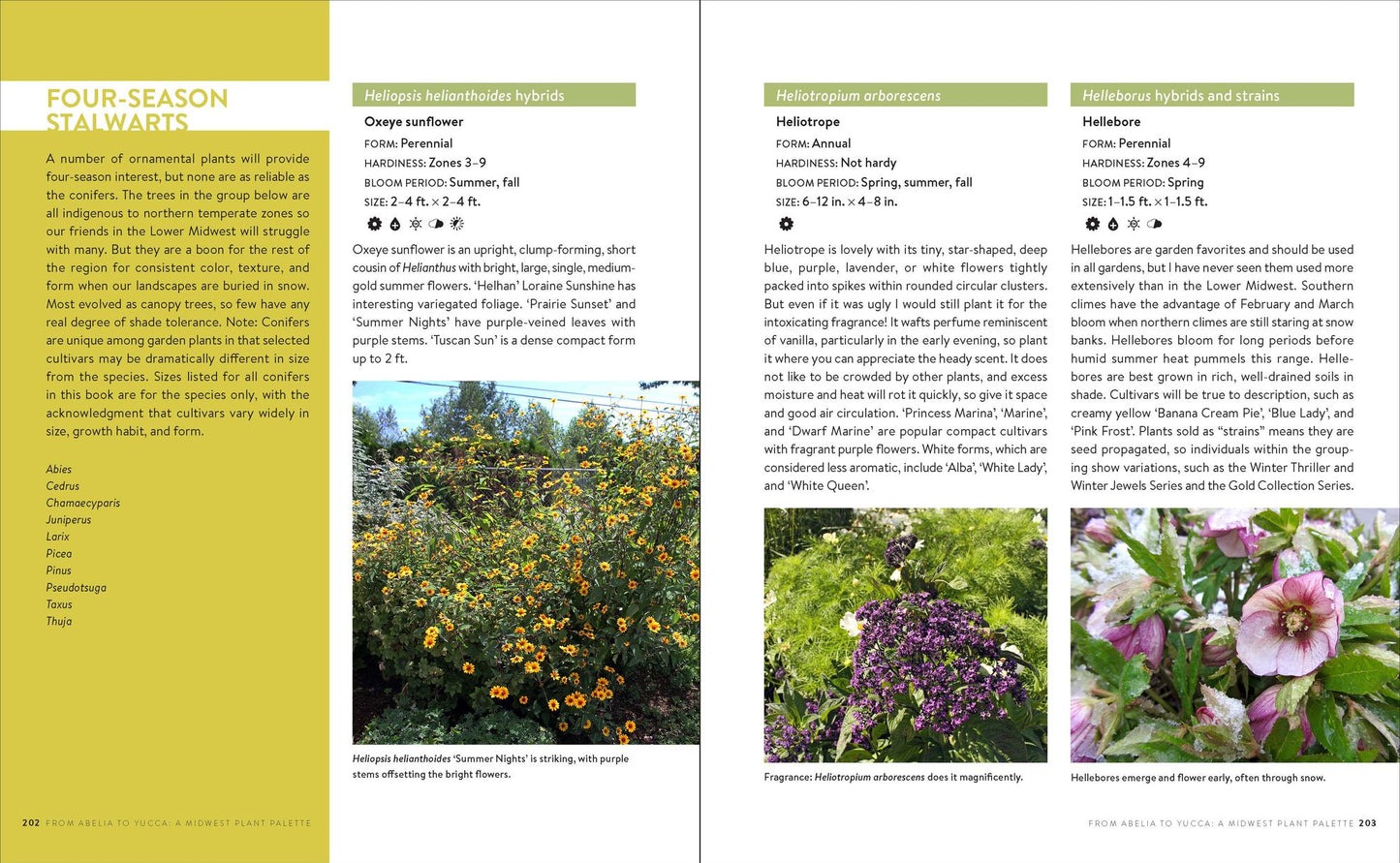 Growing the Midwest Garden: Regional Ornamental Gardening