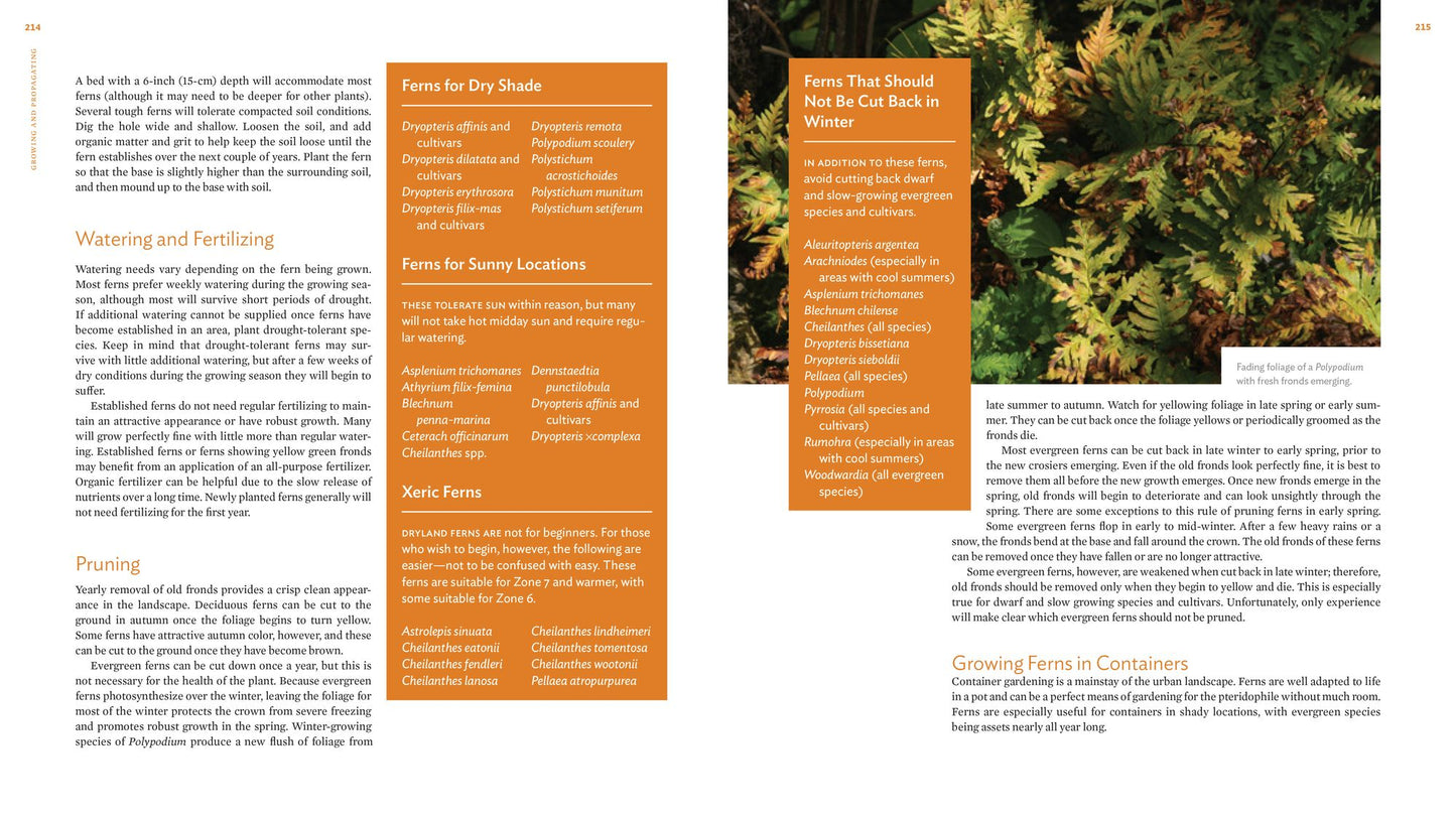 The Plant Lover's Guide to Ferns