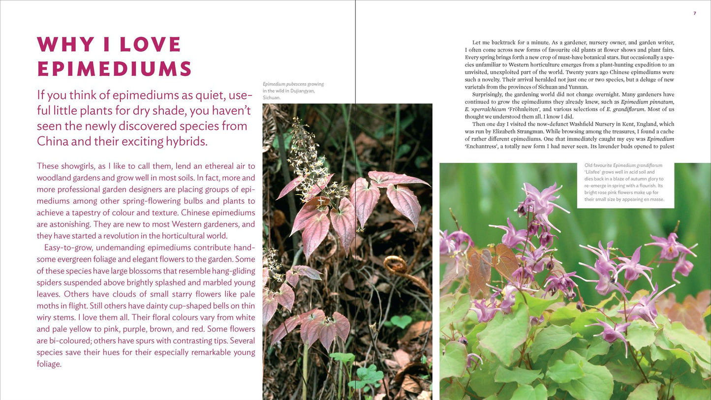 The Plant Lover's Guide to Epimediums