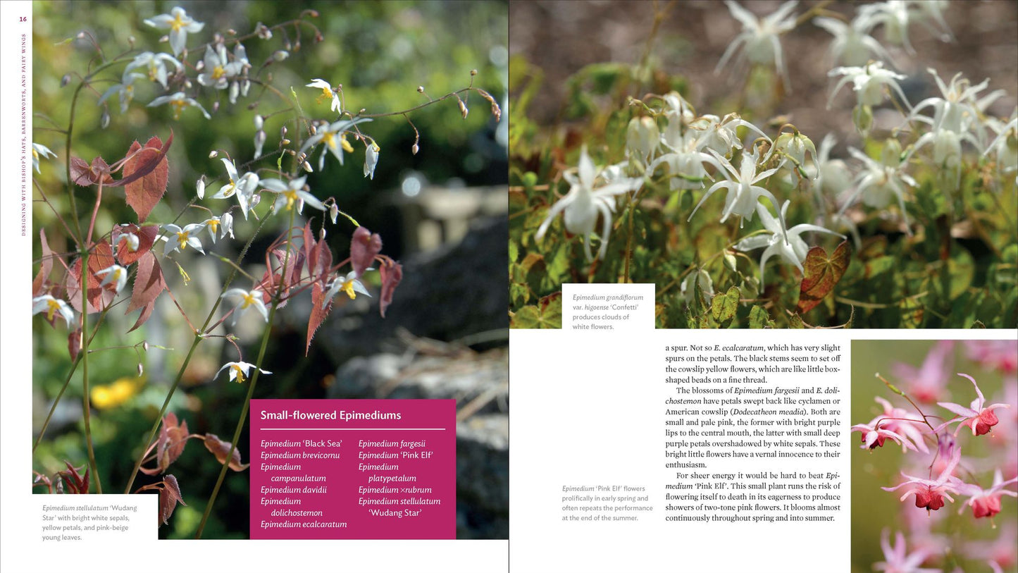 The Plant Lover's Guide to Epimediums