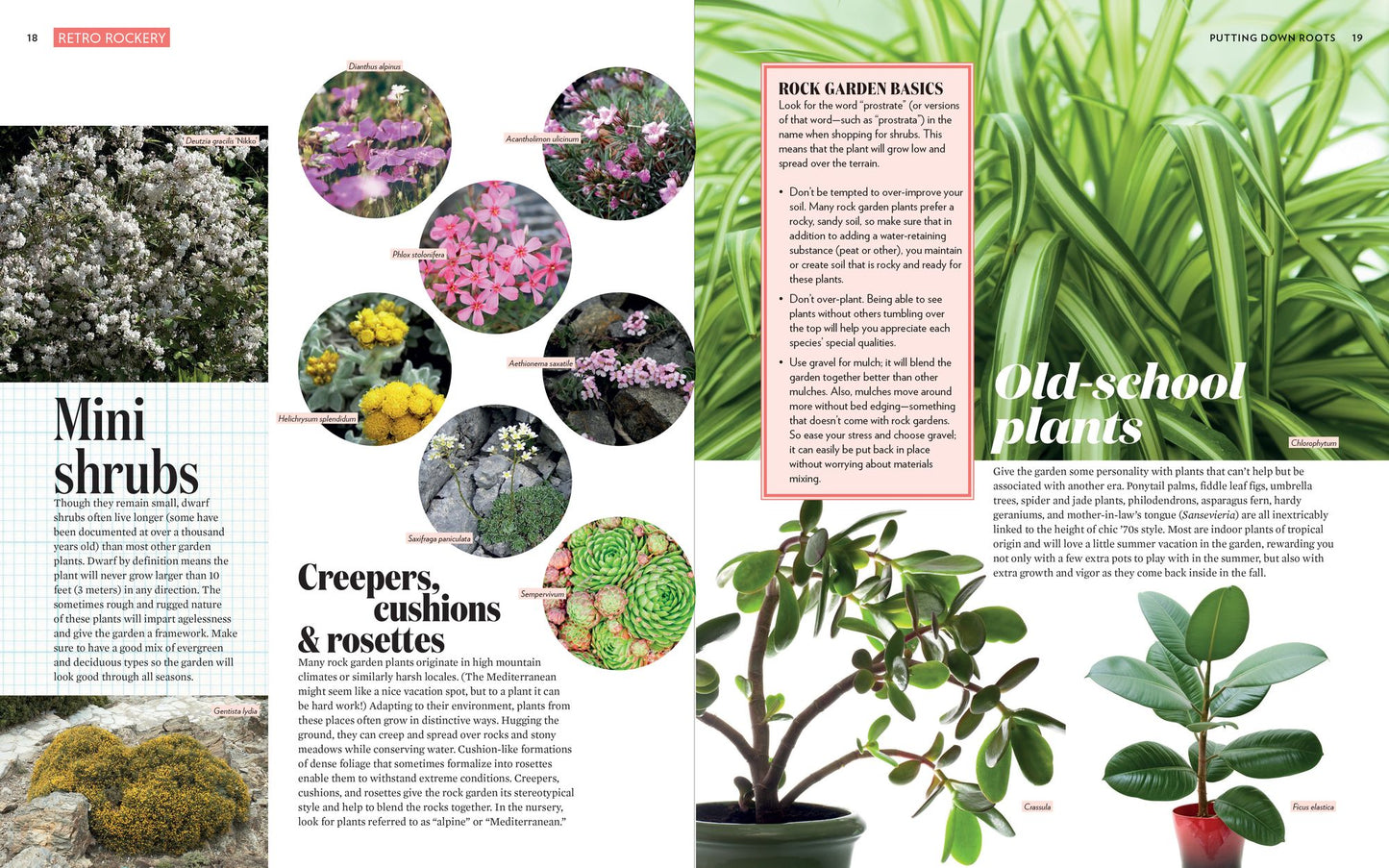 Cultivating Garden Style: Inspired Ideas and Practical Advice to Unleash Your Garden Personality