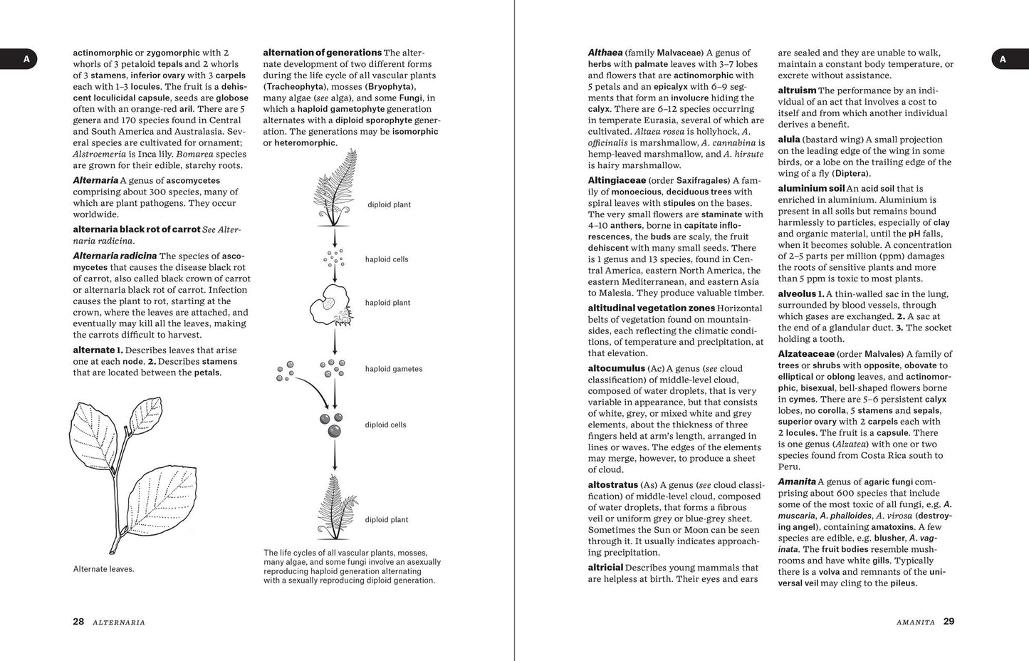 The Dictionary of Science for Gardeners: 6000 Scientific Terms Explored and Explained