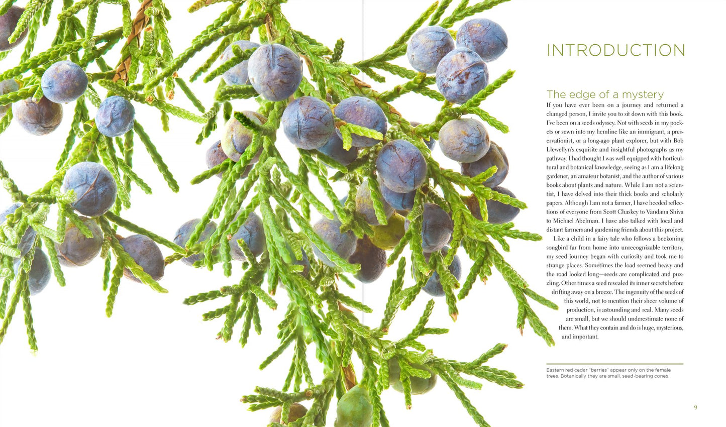 Seeing Seeds: A Journey into the World of Seedheads, Pods, and Fruit