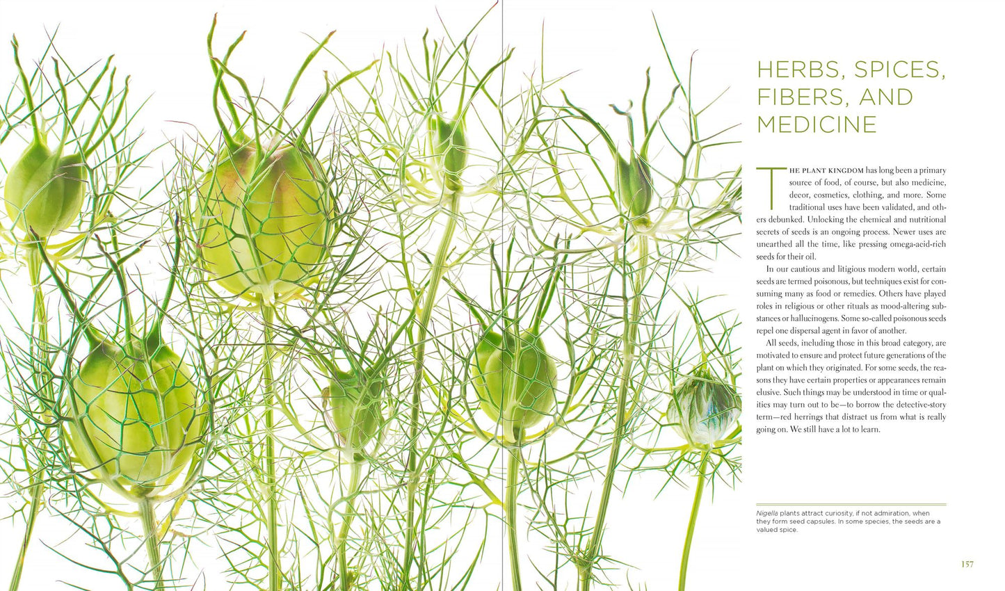 Seeing Seeds: A Journey into the World of Seedheads, Pods, and Fruit