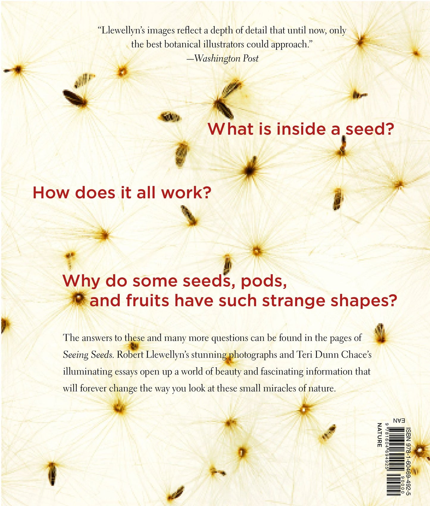 Seeing Seeds: A Journey into the World of Seedheads, Pods, and Fruit