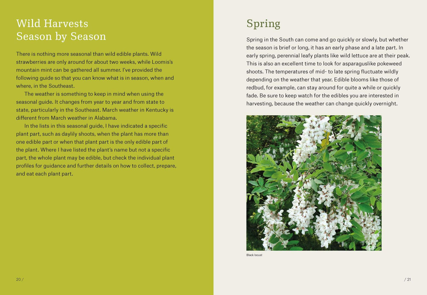 Southeast Foraging: 120 Wild and Flavorful Edibles from Angelica to Wild Plums