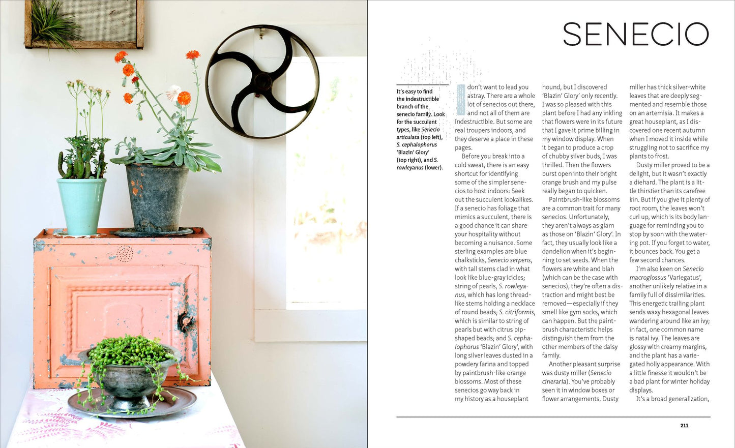 The Indestructible Houseplant: 200 Beautiful, Easy-Care Plants that Everyone Can Grow