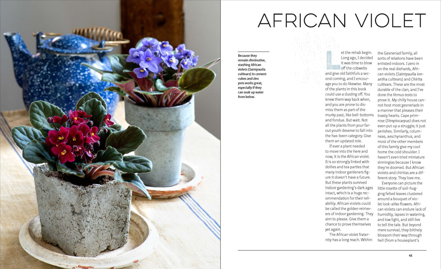 The Indestructible Houseplant: 200 Beautiful, Easy-Care Plants that Everyone Can Grow