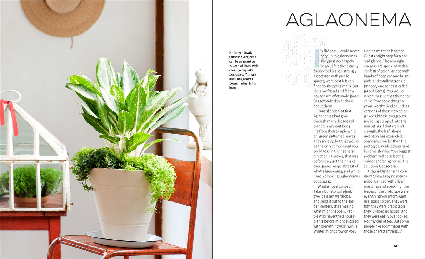 The Indestructible Houseplant: 200 Beautiful, Easy-Care Plants that Everyone Can Grow