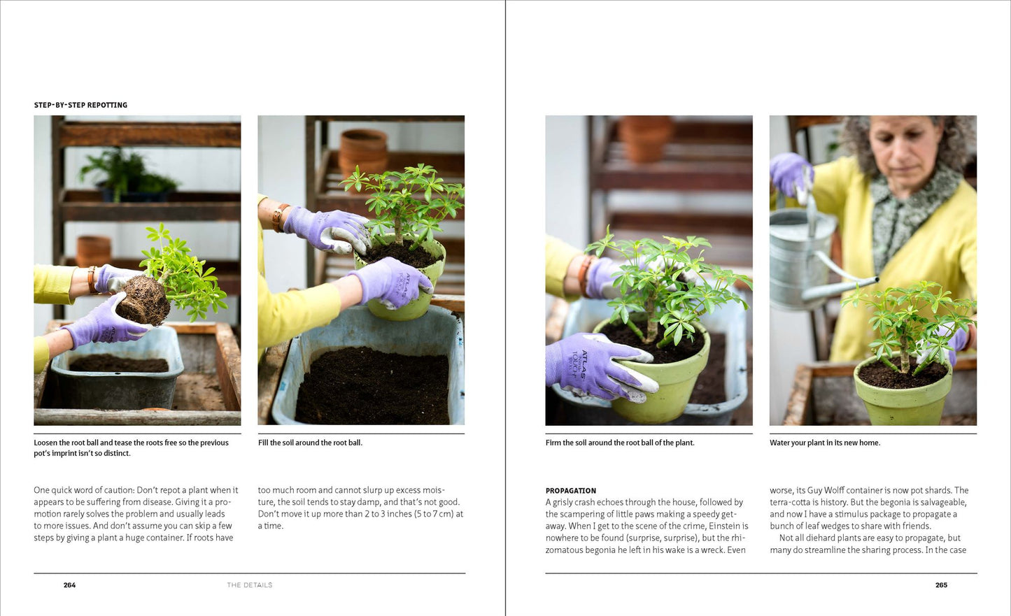 The Indestructible Houseplant: 200 Beautiful, Easy-Care Plants that Everyone Can Grow