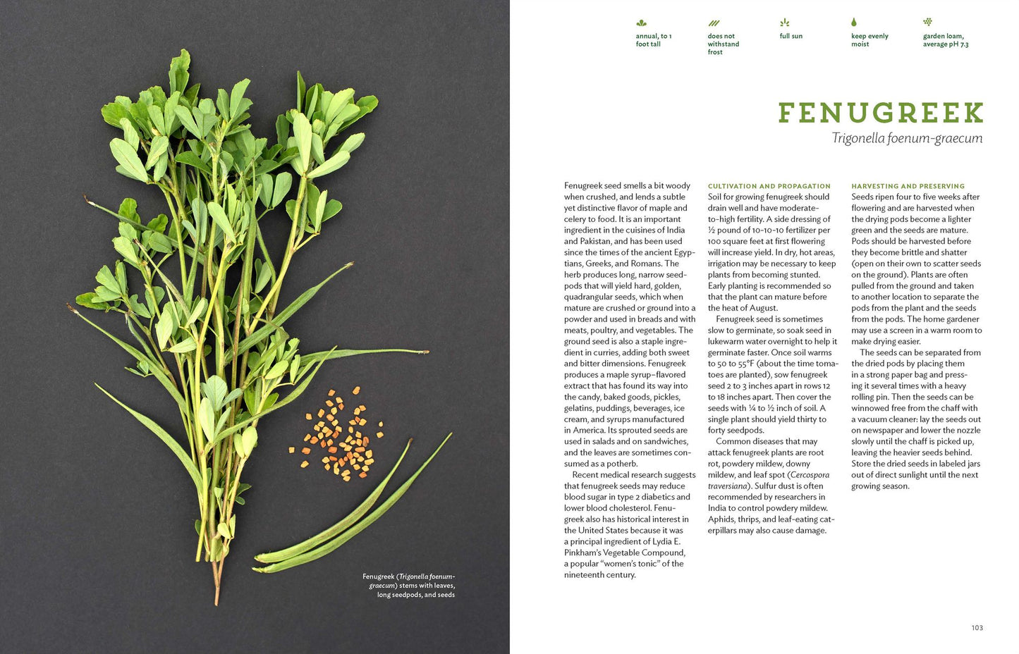 The Culinary Herbal: Growing and Preserving 97 Flavorful Herbs