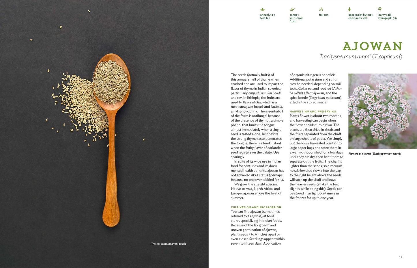 The Culinary Herbal: Growing and Preserving 97 Flavorful Herbs