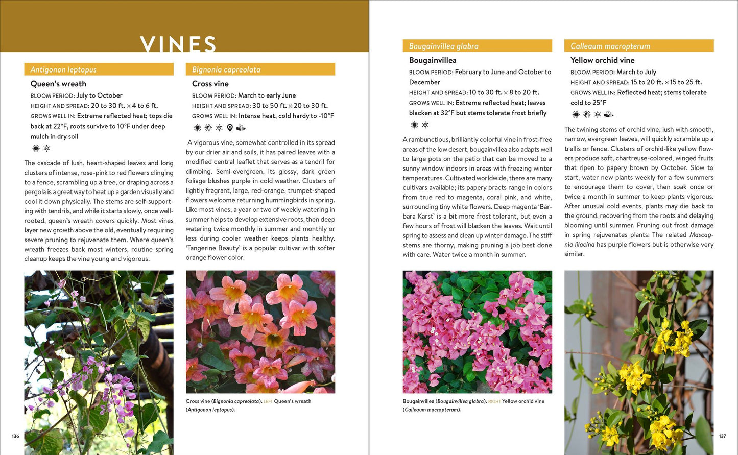 Growing the Southwest Garden: Regional Ornamental Gardening