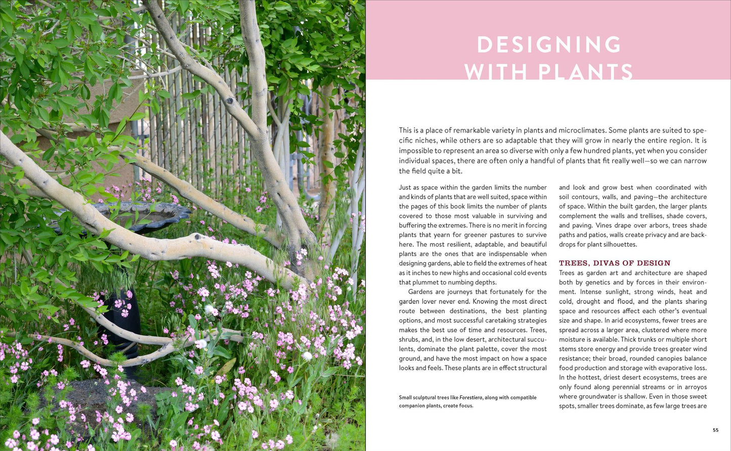Growing the Southwest Garden: Regional Ornamental Gardening