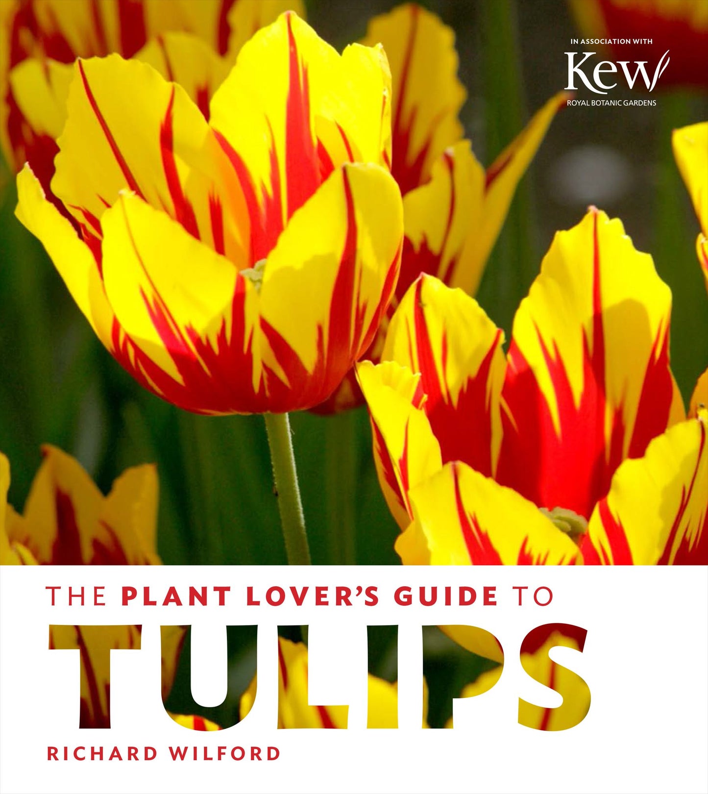 The Plant Lover's Guide to Tulips