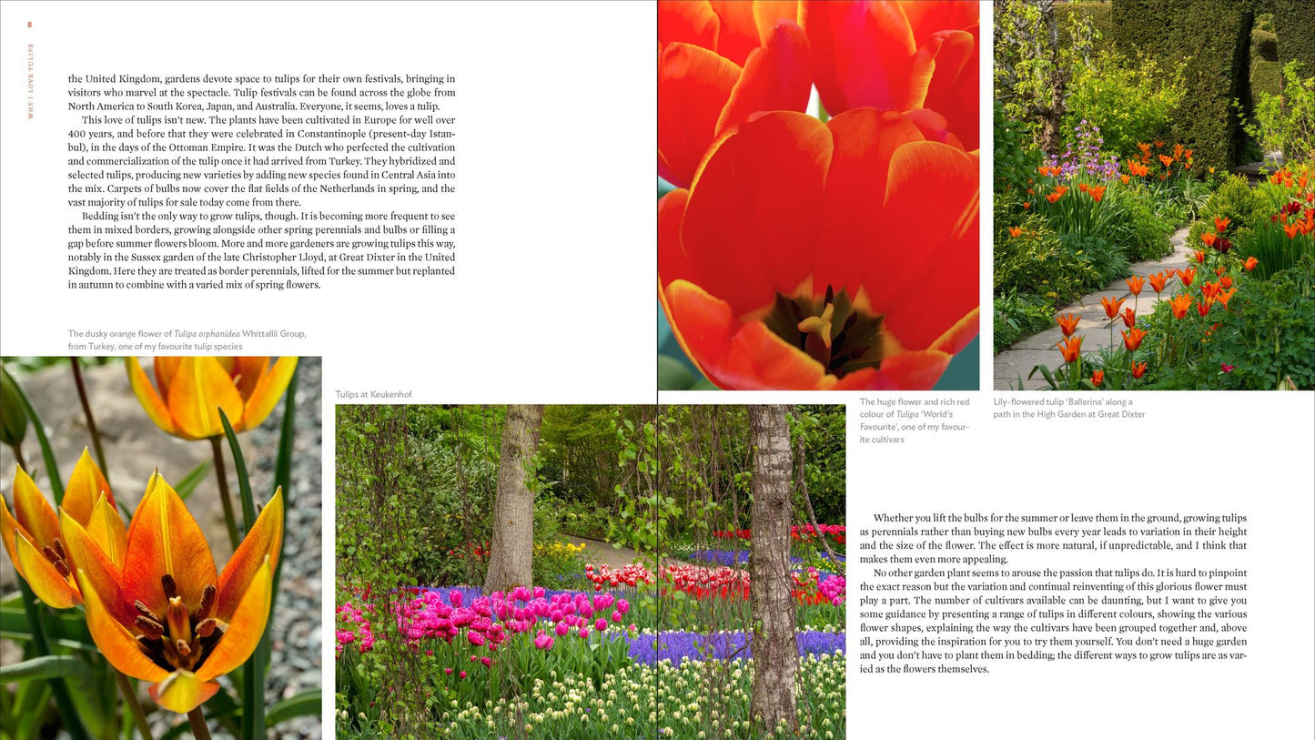 The Plant Lover's Guide to Tulips