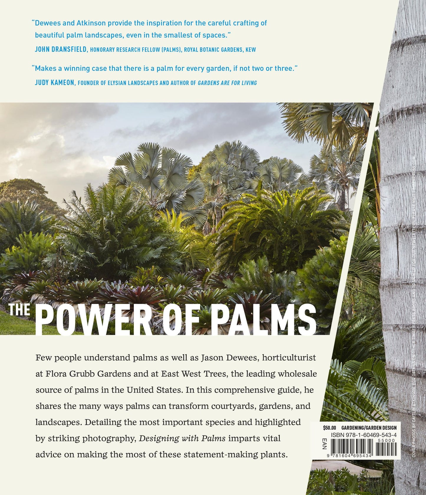 Designing with Palms