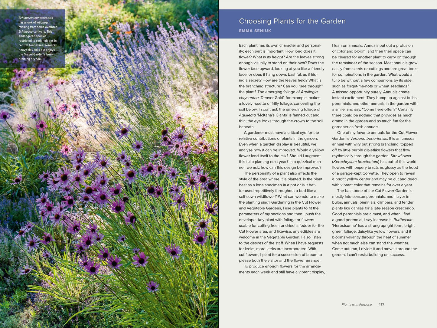 The Art of Gardening: Design Inspiration and Innovative Planting Techniques from Chanticleer