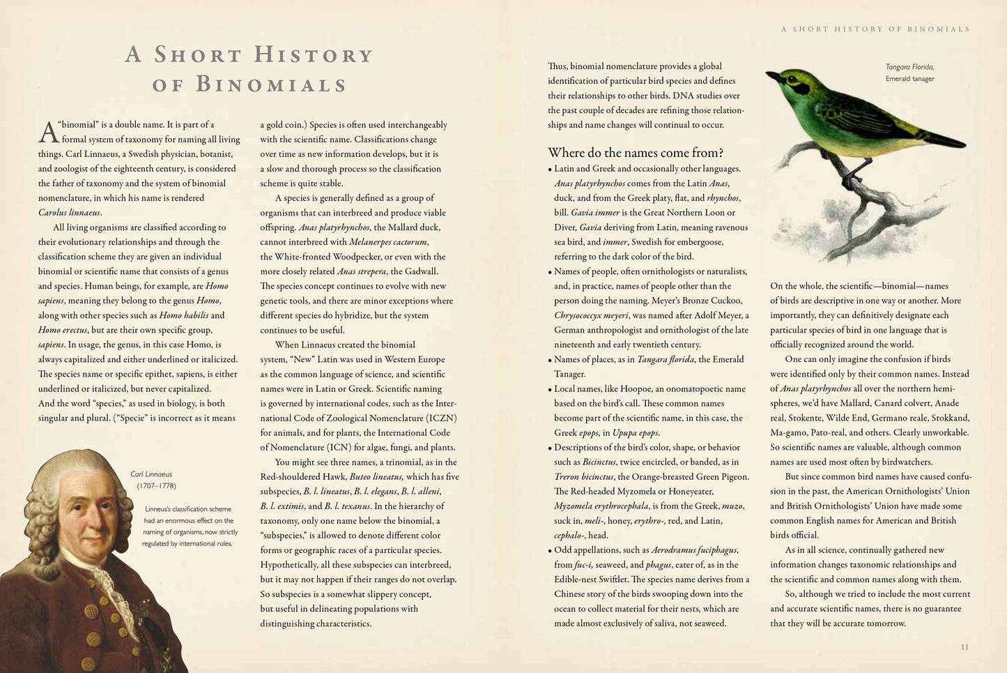 Latin for Bird Lovers: Over 3,000 Bird Names Explored and Explained