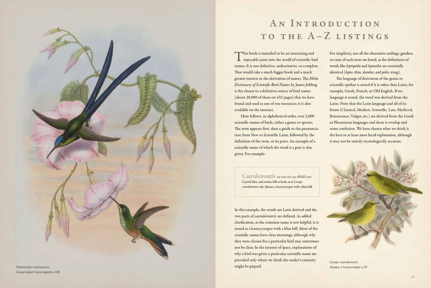 Latin for Bird Lovers: Over 3,000 Bird Names Explored and Explained