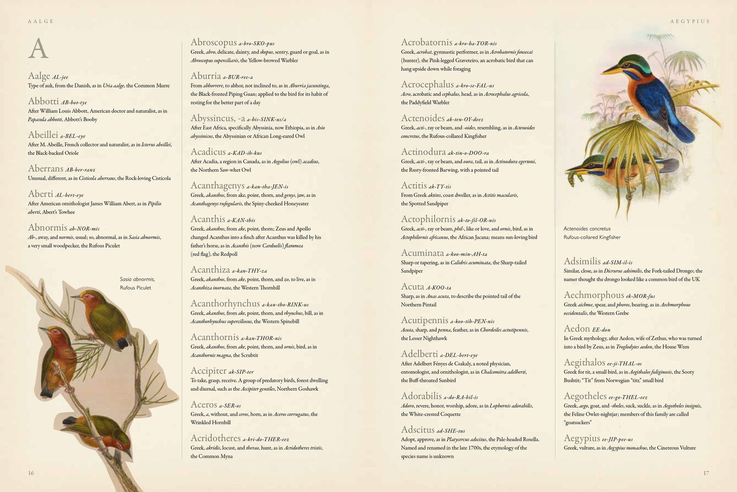 Latin for Bird Lovers: Over 3,000 Bird Names Explored and Explained
