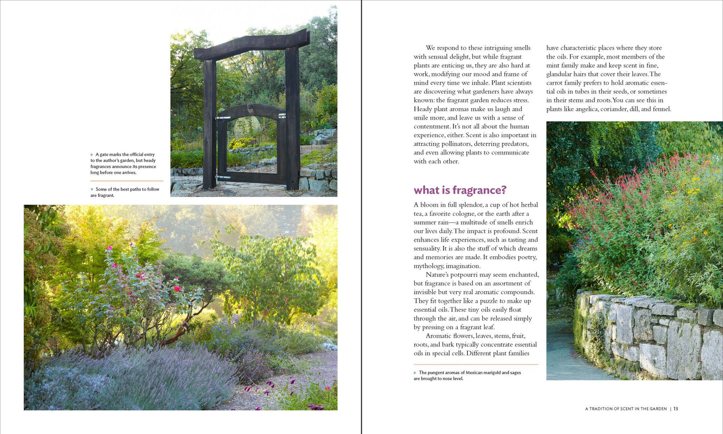 The Aromatherapy Garden: Growing Fragrant Plants for Happiness and Well-Being
