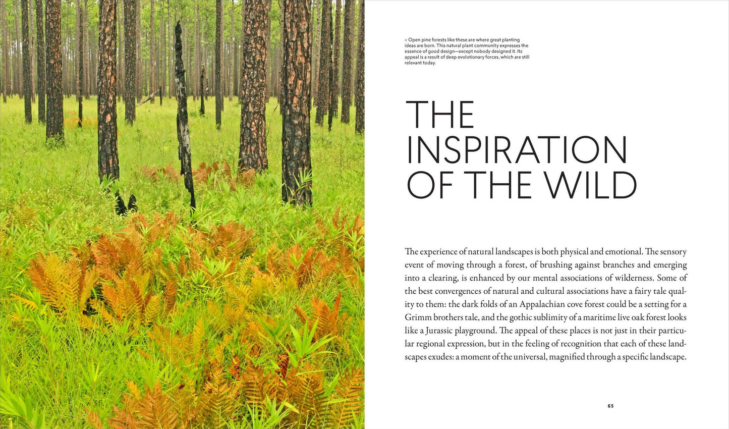 Planting in a Post-Wild World: Designing Plant Communities for Resilient Landscapes