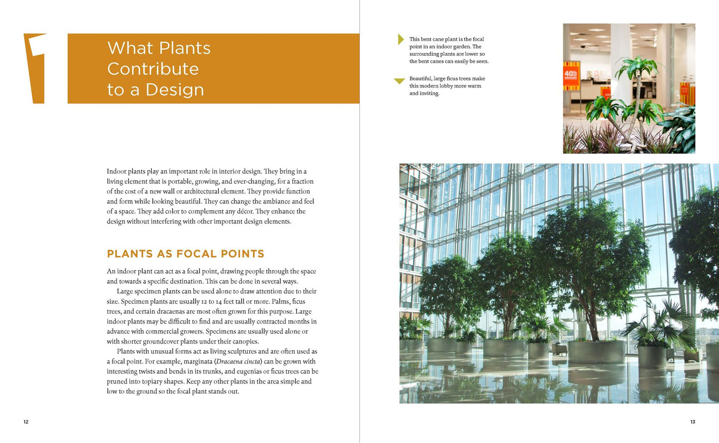 The Manual of Interior Plantscaping: A Guide to Design, Installation, and Maintenance