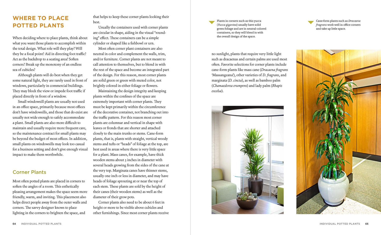 The Manual of Interior Plantscaping: A Guide to Design, Installation, and Maintenance