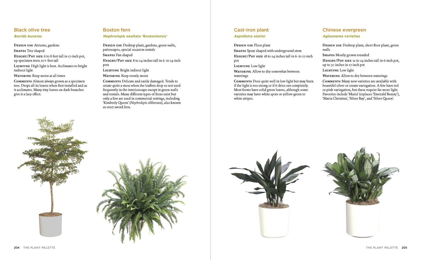 The Manual of Interior Plantscaping: A Guide to Design, Installation, and Maintenance