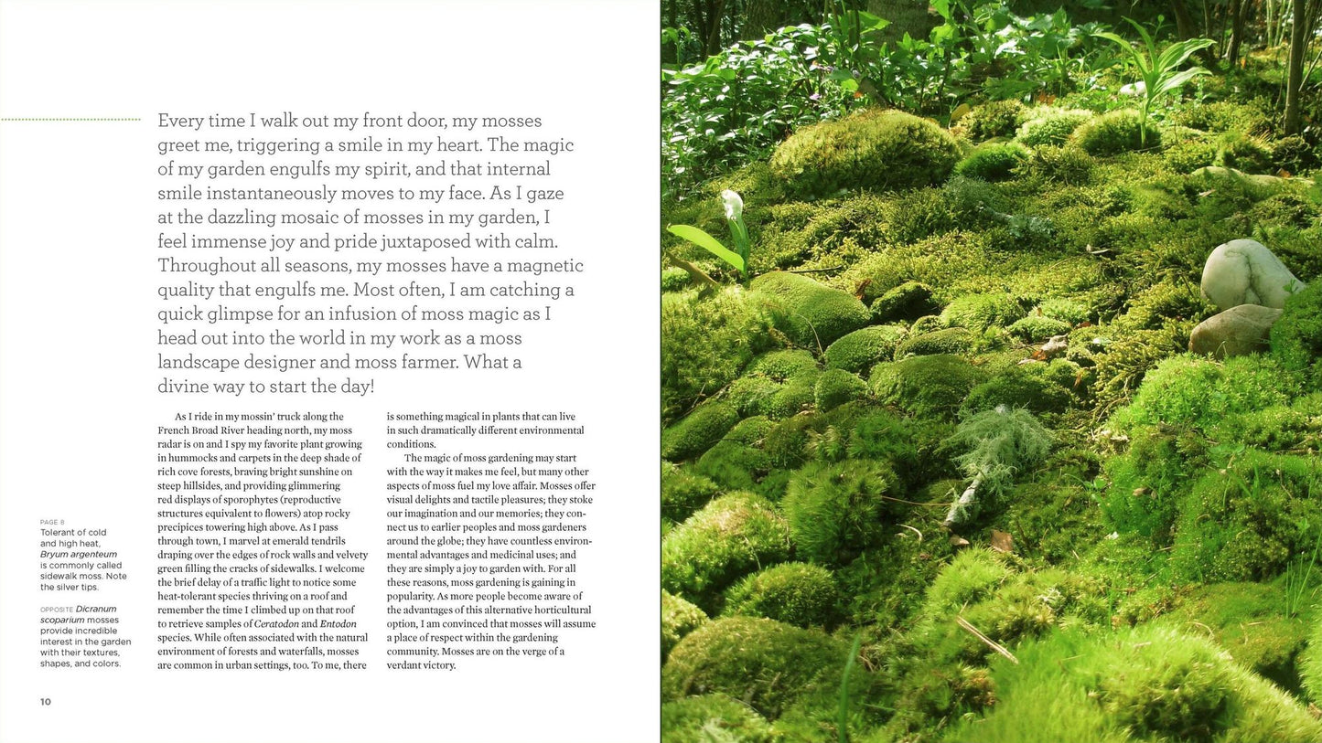 The Magical World of Moss Gardening