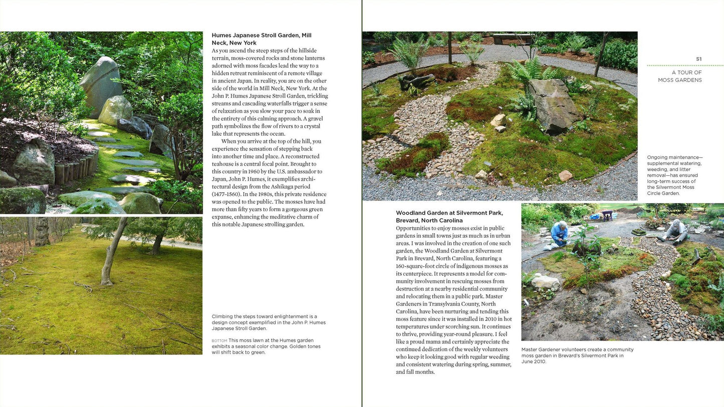 The Magical World of Moss Gardening