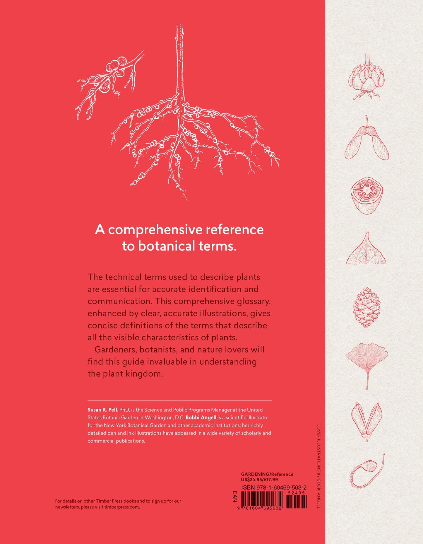 A Botanist's Vocabulary: 1300 Terms Explained and Illustrated