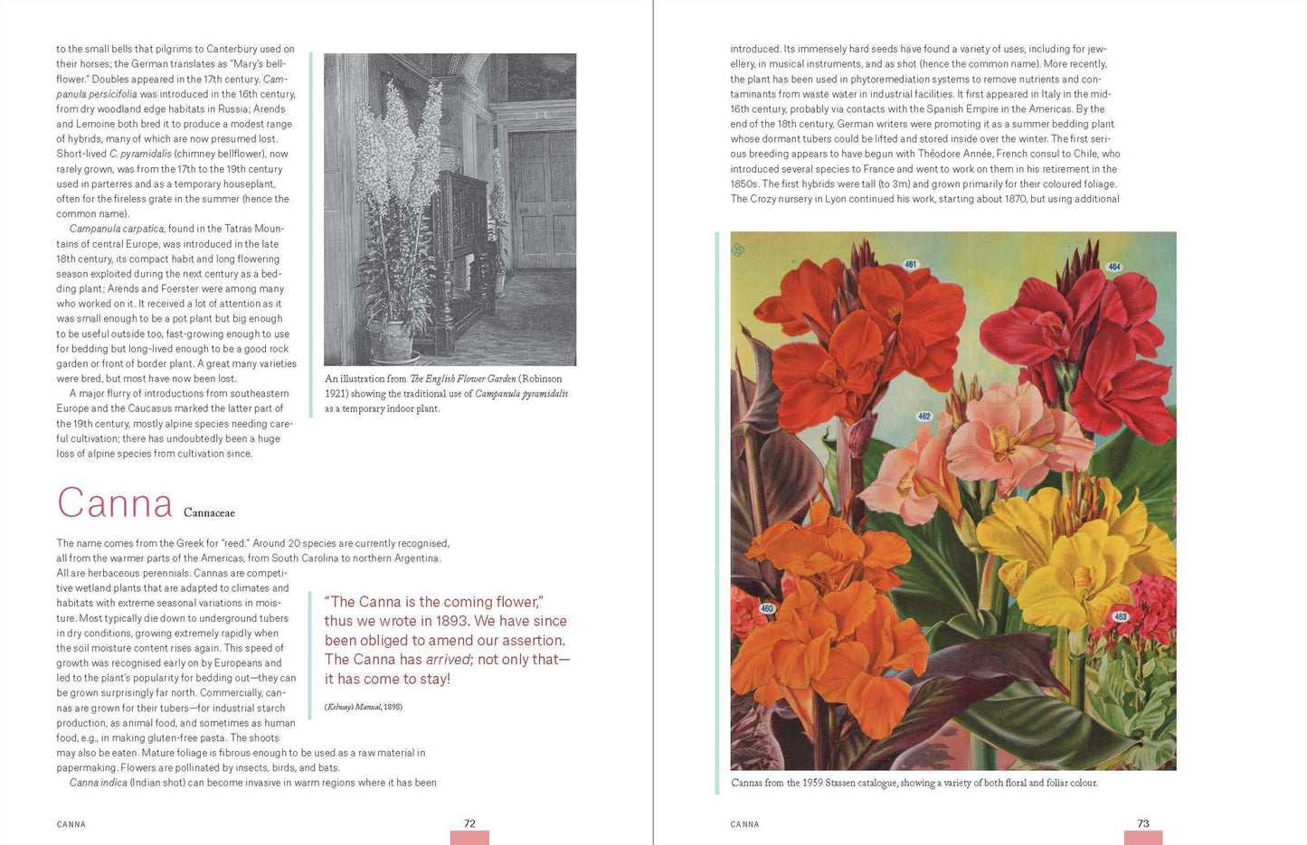 Garden Flora: The Natural and Cultural History of the Plants In Your Garden